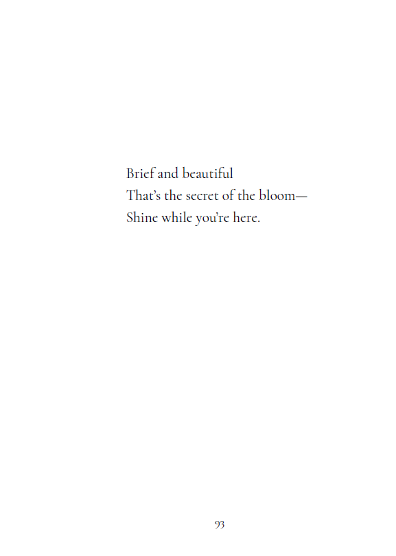 Petals at Play: Joyful Haiku to Brighten Your Day