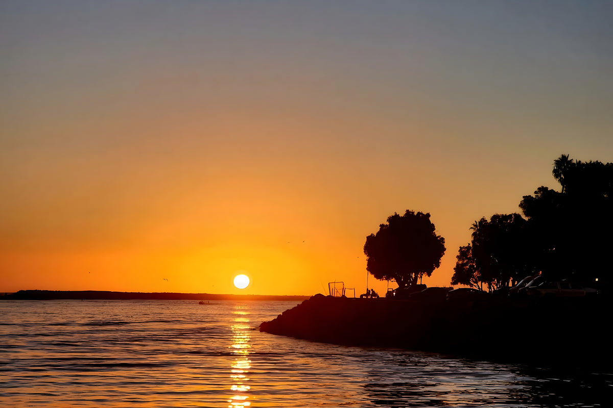 Golden sunset over Mission Bay in San Diego, with sunlight reflected across the water and silhouetted trees along the shoreline.
